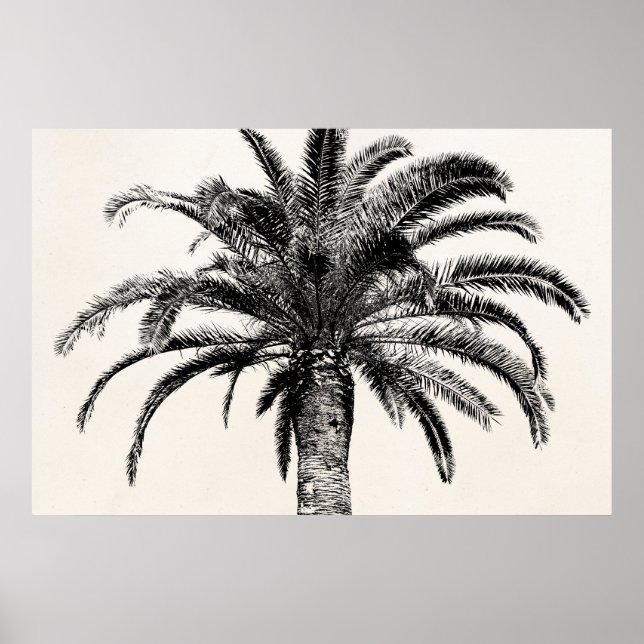 Retro Tropical Island Palm Tree in Black and White Poster (Front)