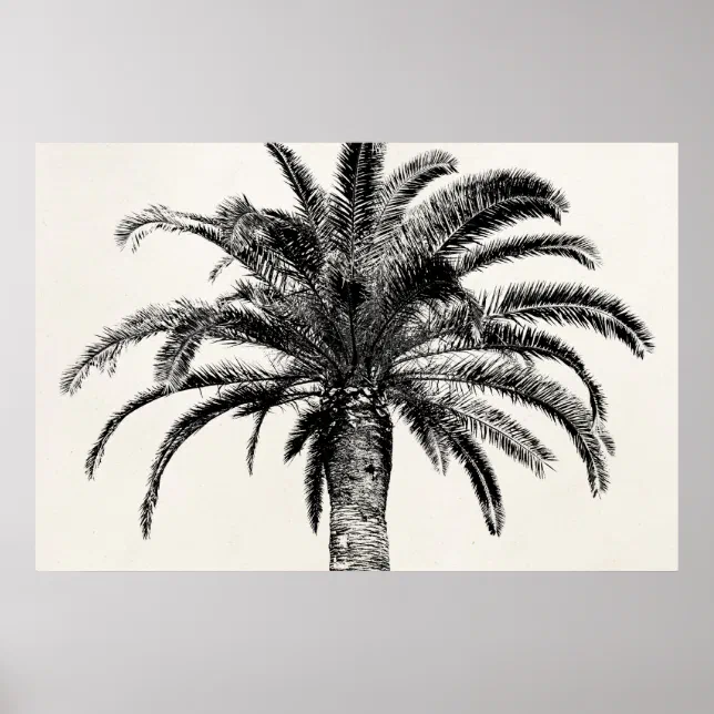 Retro Tropical Island Palm Tree in Black and White Poster | Zazzle