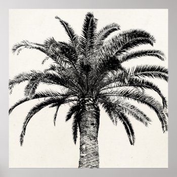 Retro Tropical Island Palm Tree In Black And White Poster by SilverSpiral at Zazzle