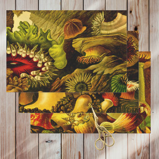Retro Undersea Life Sea Anemones & Coral 3 Styles