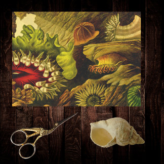 Retro Undersea Life Sea Anemones & Coral Ocean Tissue Paper
