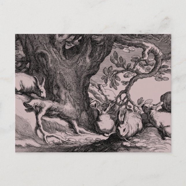 Retro Vintage Bunny Rabbits Postcard (Front)