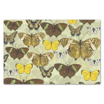 Retro Vintage Butterflies Pattern Tissue Paper by biutiful at Zazzle