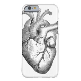Retro Vintage Cool Anatomical Heart Sketch Barely There iPhone 6 Case