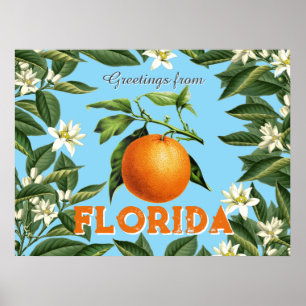 Retro Vintage Greetings from Florida Orange Fruit Poster