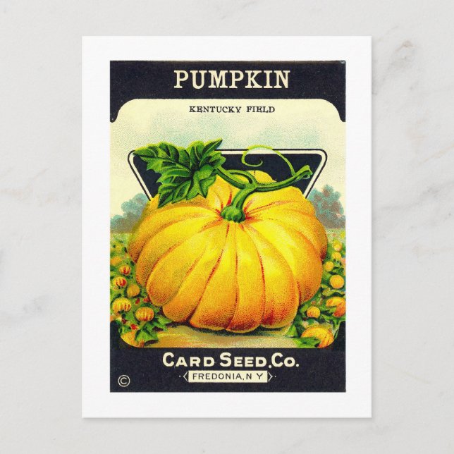 Retro Vintage Halloween pumpkin seed package Postcard (Front)