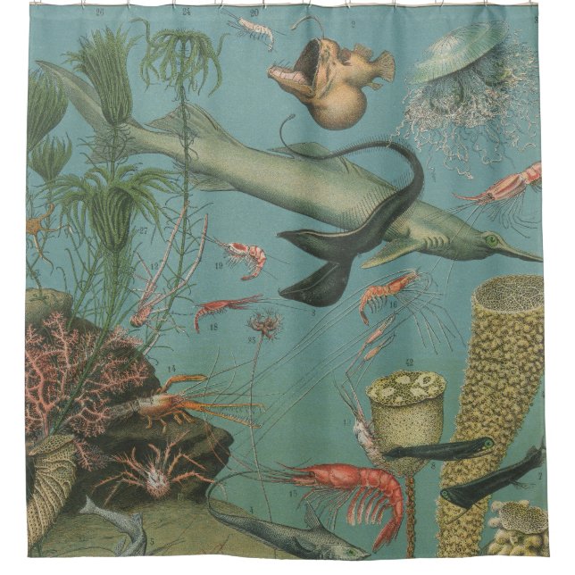 Retro vintage marine biology ocean fish shower curtain (Front)