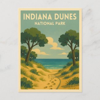 Retro Vintage Travel Indiana Dunes National Park