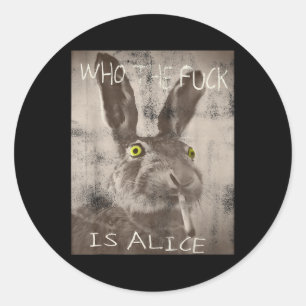 Retro Who The Fck Is Alice Funny Rabbit Classic Round Sticker