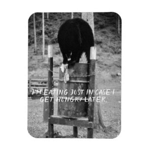 Retro Wild Black Bear Trash Scavenging Garbage Magnet
