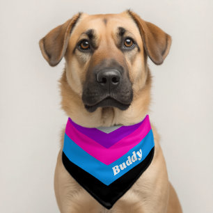Retro Windbreaker Color Block Darts Custom Name Pet Bandana Collar