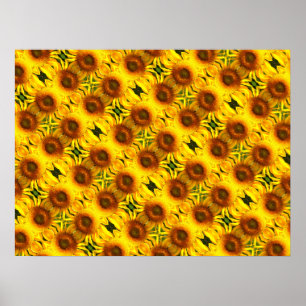 Retro yellow orange florals sunflower pattern poster