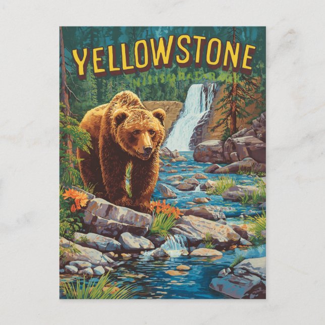 Retro Yellowstone Grizzly Bear Postcard (Front)