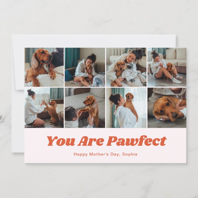 Retro You Are Pawfect Dog Mom 12 Photo Pink Holiday Card (Front)