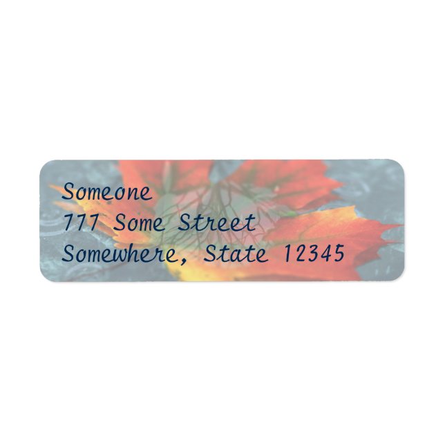 Retroreflection Address Labels (Front)