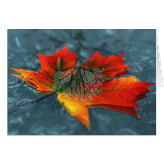 Retroreflection Card (Front Horizontal)