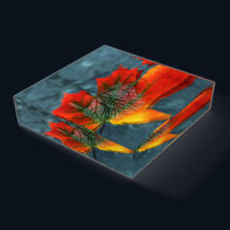 Retroreflection Paperweight