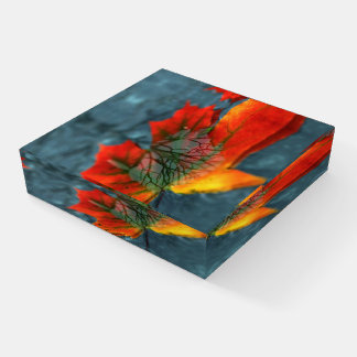 Retroreflection Paperweight