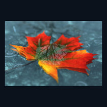 Retroreflection Photo Print