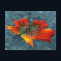 Retroreflection Postcard