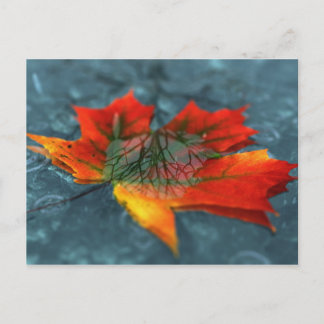 Retroreflection Postcard