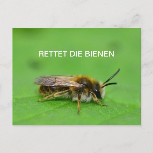 Rettet die Bienen Postcard