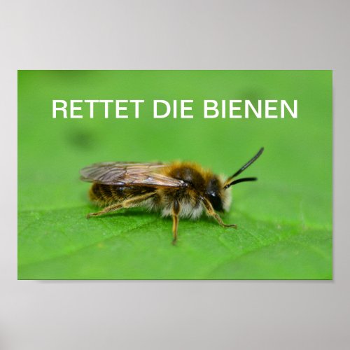 Rettet die Bienen Poster