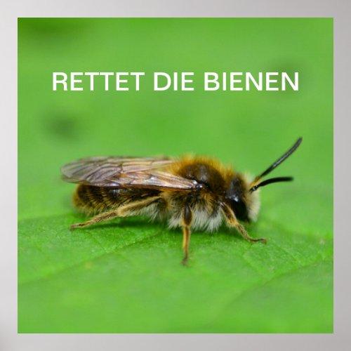 Rettet die Bienen Poster