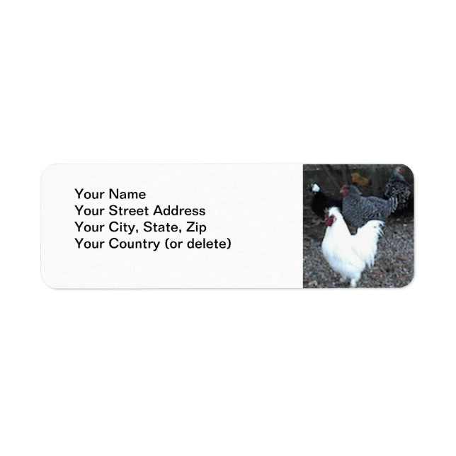 Return Address Label: Chickens Label (Front)