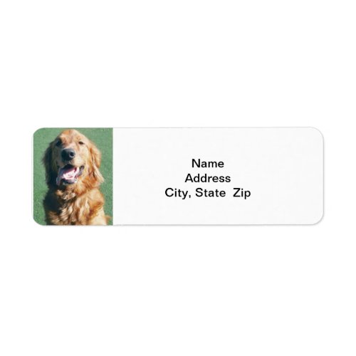 Return Address Label Golden Retriever Label