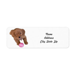Return Address Label, Golden Retriever Puppy Label