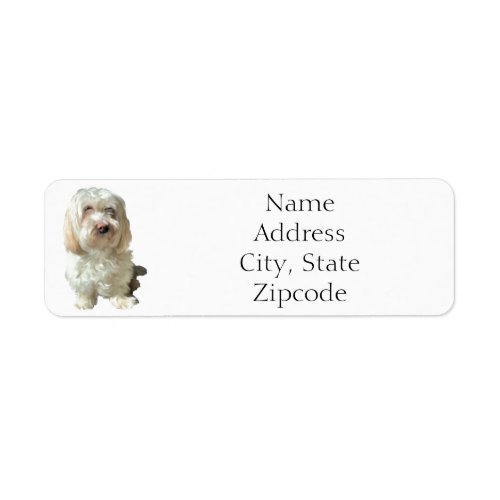 Return Address Label Havanese Dog