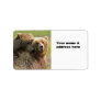 Return Address Label of grizzly bears