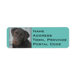Return Address Labels - Chocolate Lab