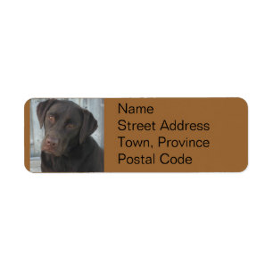 Return Address Labels - Chocolate Lab