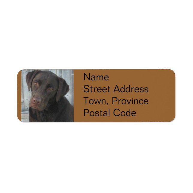 Return Address Labels - Chocolate Lab (Front)
