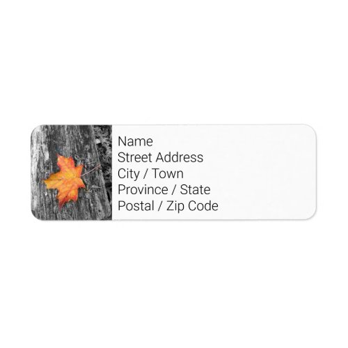 Return Address Labels _ Fall Maple Leaf