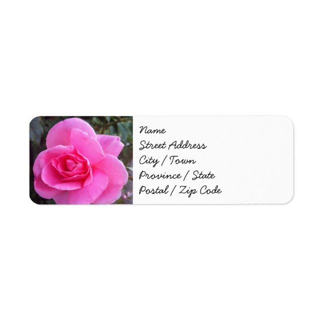 Return Address Labels - Pink Rose (Front)