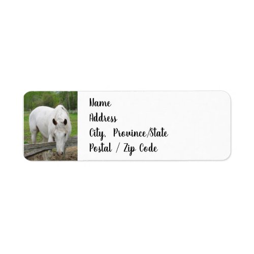 Return Address Labels _ White Horse on a Farm