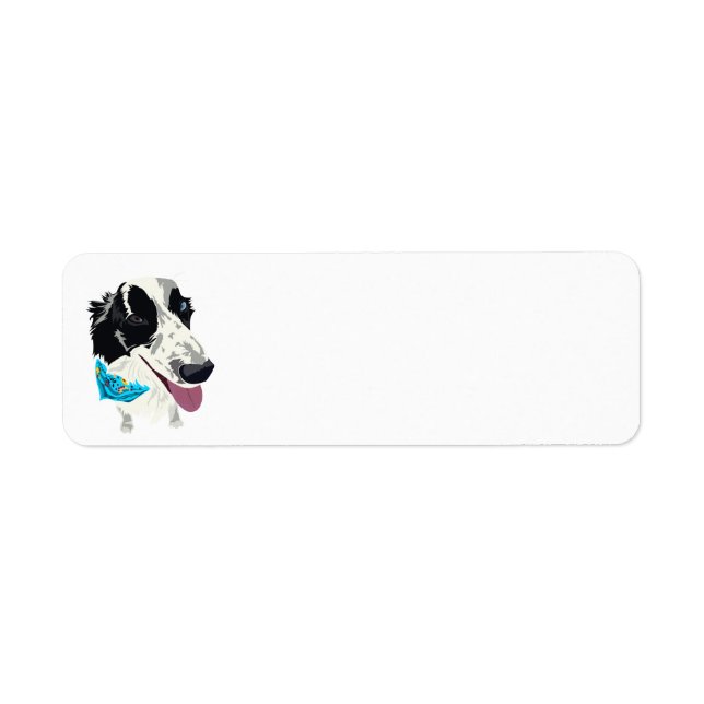 Return Address Labels with Scarfed Border Collie (Front)