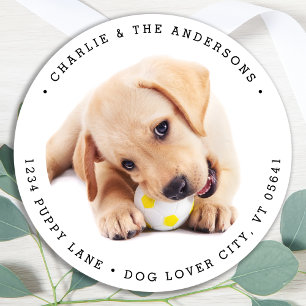 Return Address Simple Custom Puppy Dog Photo Classic Round Sticker