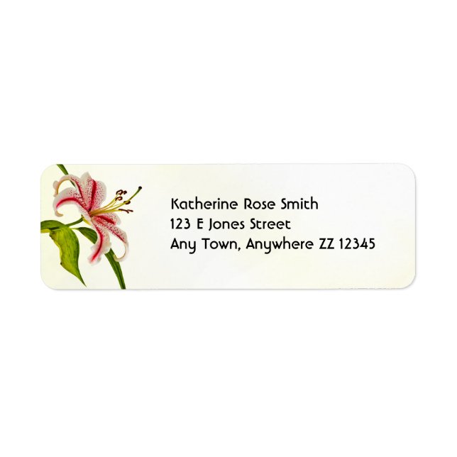 Return Address:  Stargazer Lily Floral Photography Label (Front)