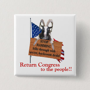 Return Congress to the People! Pinback Button