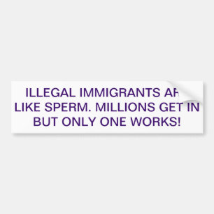 RETURN ILLEGAL IMMIGRANTS BUMPER STICKER