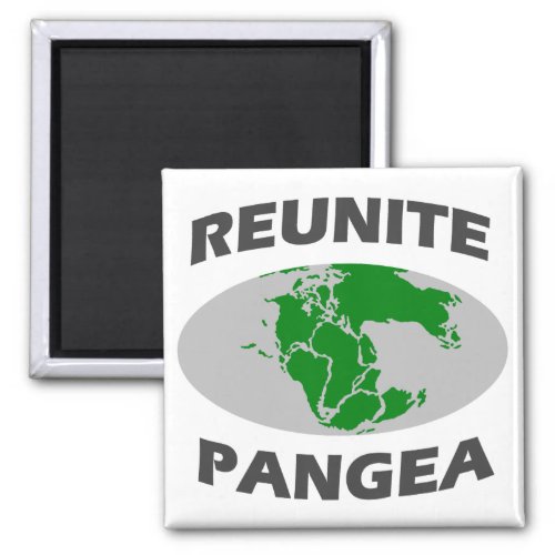 Reunite Pangea Magnet