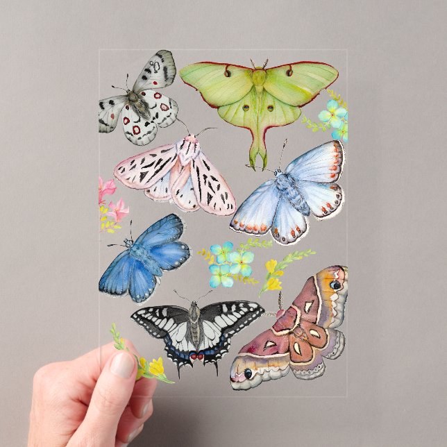 Reusable Grocery Bag Acrylic Invitations (Insitu (Handheld))