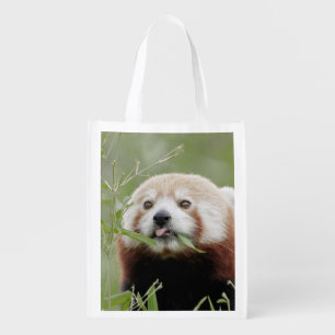 Reusable Grocery Bag. Photo red panda. Panda roux. Bag