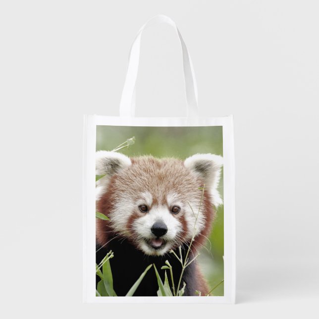 Reusable Grocery Bag. Photo red panda. Panda roux. Grocery Bag (Front)