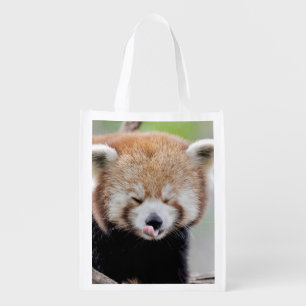 Reusable Grocery Bag. Photo red panda. Panda roux. Grocery Bag