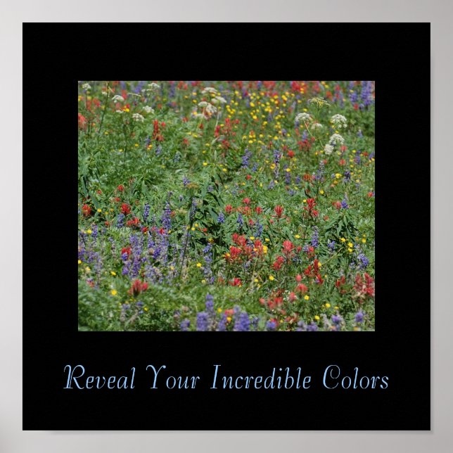 Reveal Your Incredible Colors Poster (Front)